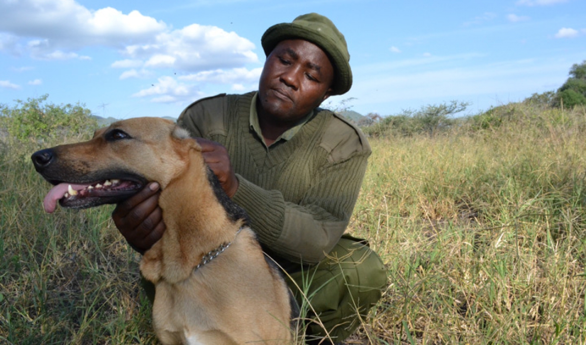 Antipoaching efforts in Kenya focus on saving animals — and people too